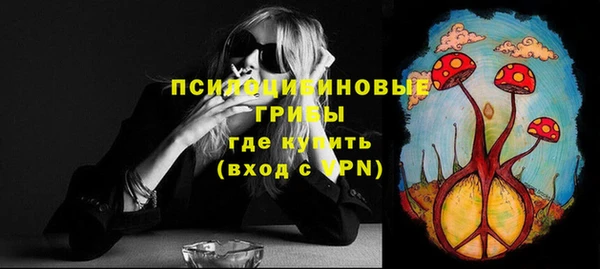 твердый Абаза