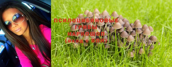 кокс Абинск
