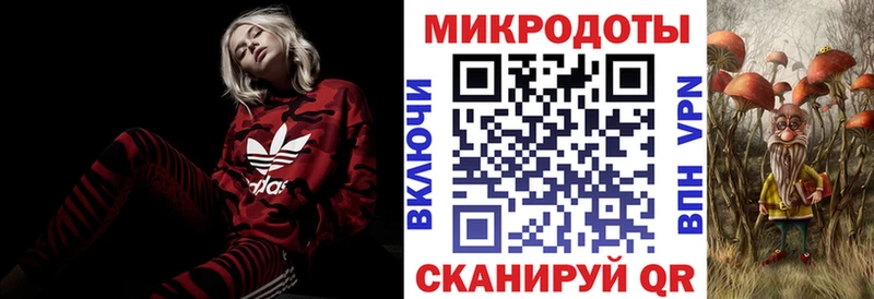 Псилоцибиновые грибы Cubensis  Новомичуринск 